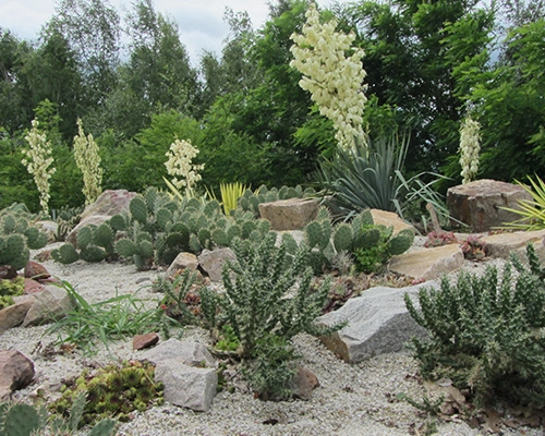 Freiraumplanungen und Waldwegebau