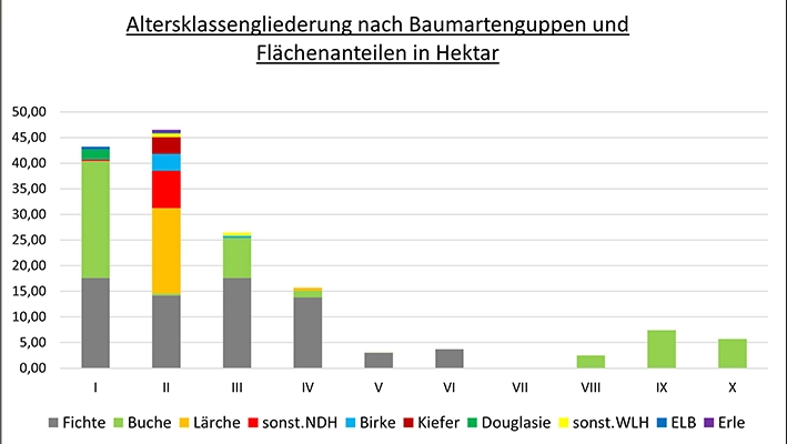 Altersklassengliederung nach Baumartengruppen