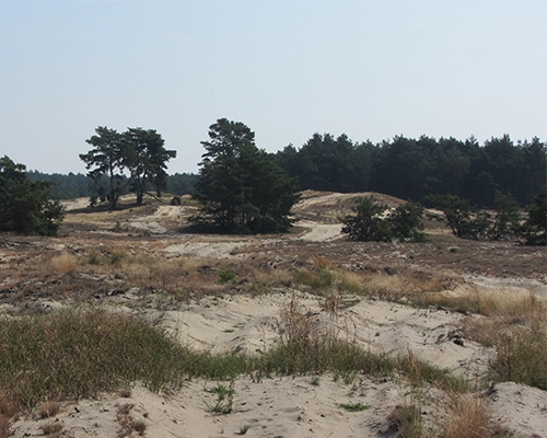 Biotope