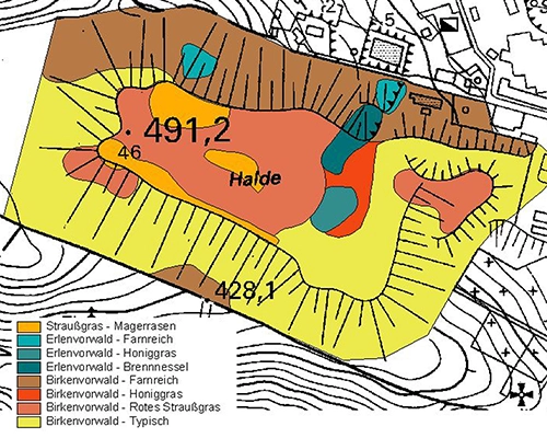 Planung Aufforstung Halden